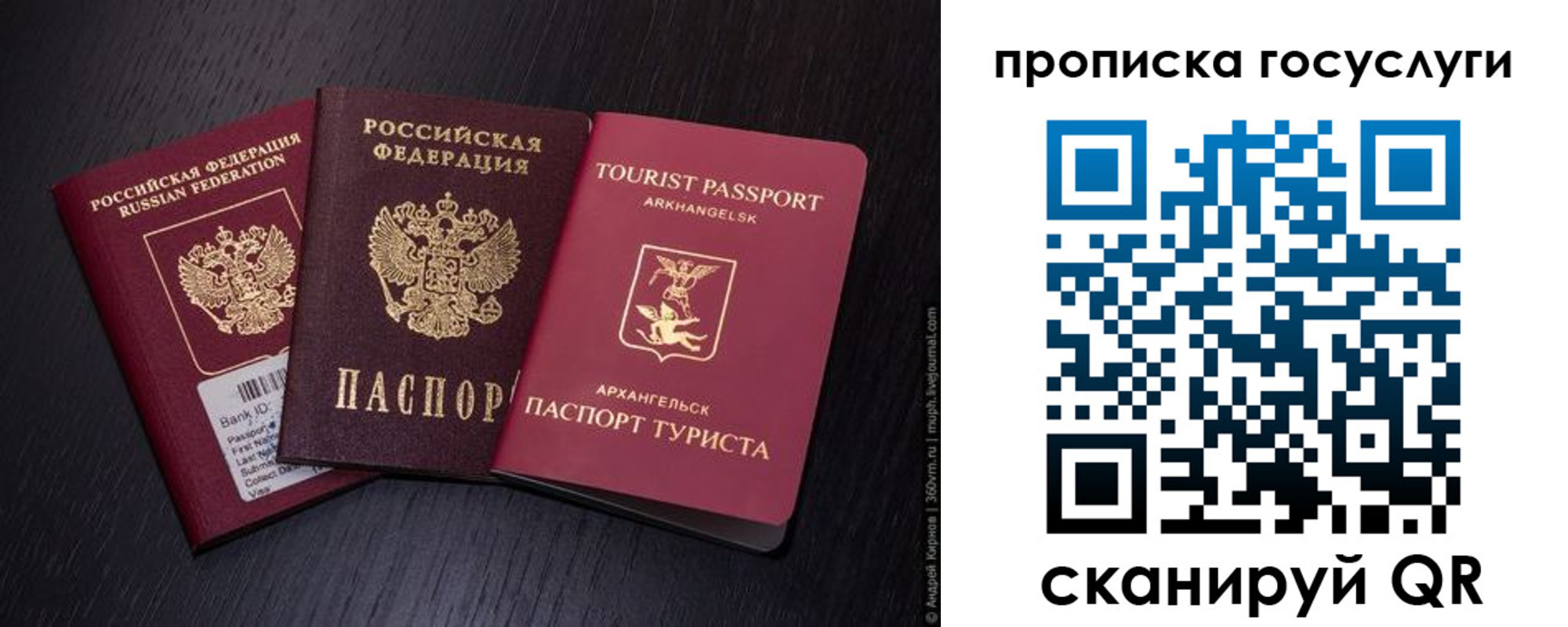прописка 2025 в Торопеце