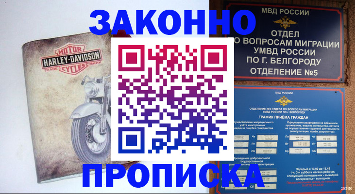 прописка для школы в Торопеце